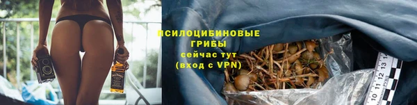 экстази Богданович